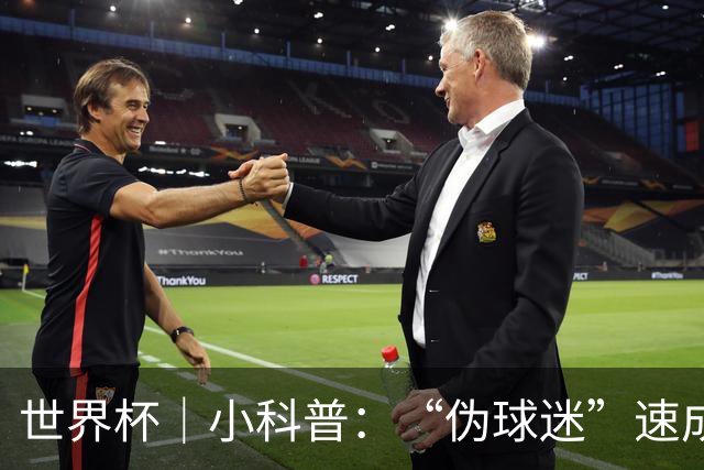 世界杯｜小科普：“伪球迷”速成手册